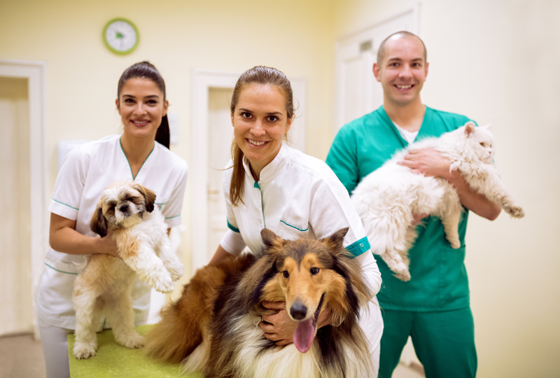 Congresso-veterinario-saistours-2